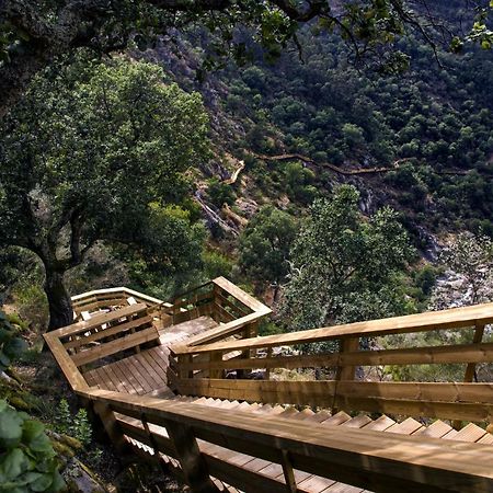 اروكا Casa Do Gaio-Turismo De Natureza المظهر الخارجي الصورة