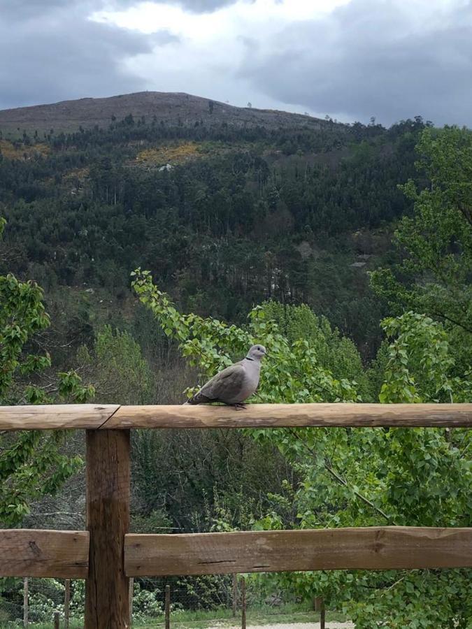 اروكا Casa Do Gaio-Turismo De Natureza المظهر الخارجي الصورة