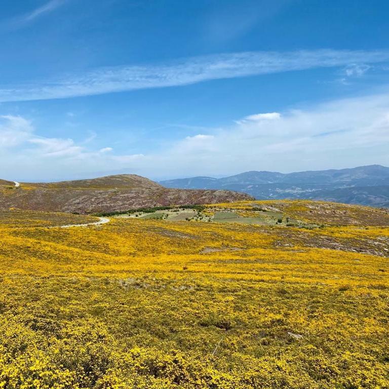 اروكا Casa Do Gaio-Turismo De Natureza المظهر الخارجي الصورة