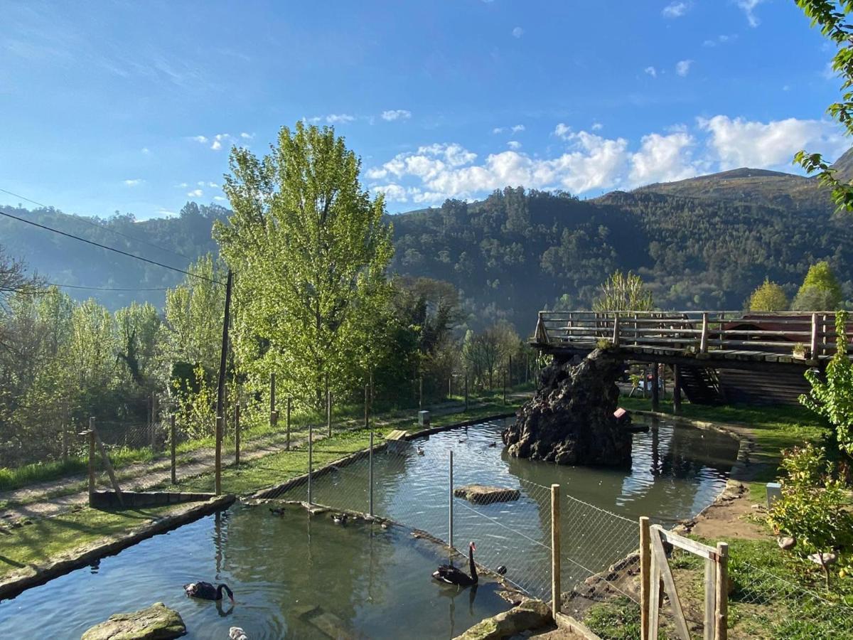 اروكا Casa Do Gaio-Turismo De Natureza المظهر الخارجي الصورة